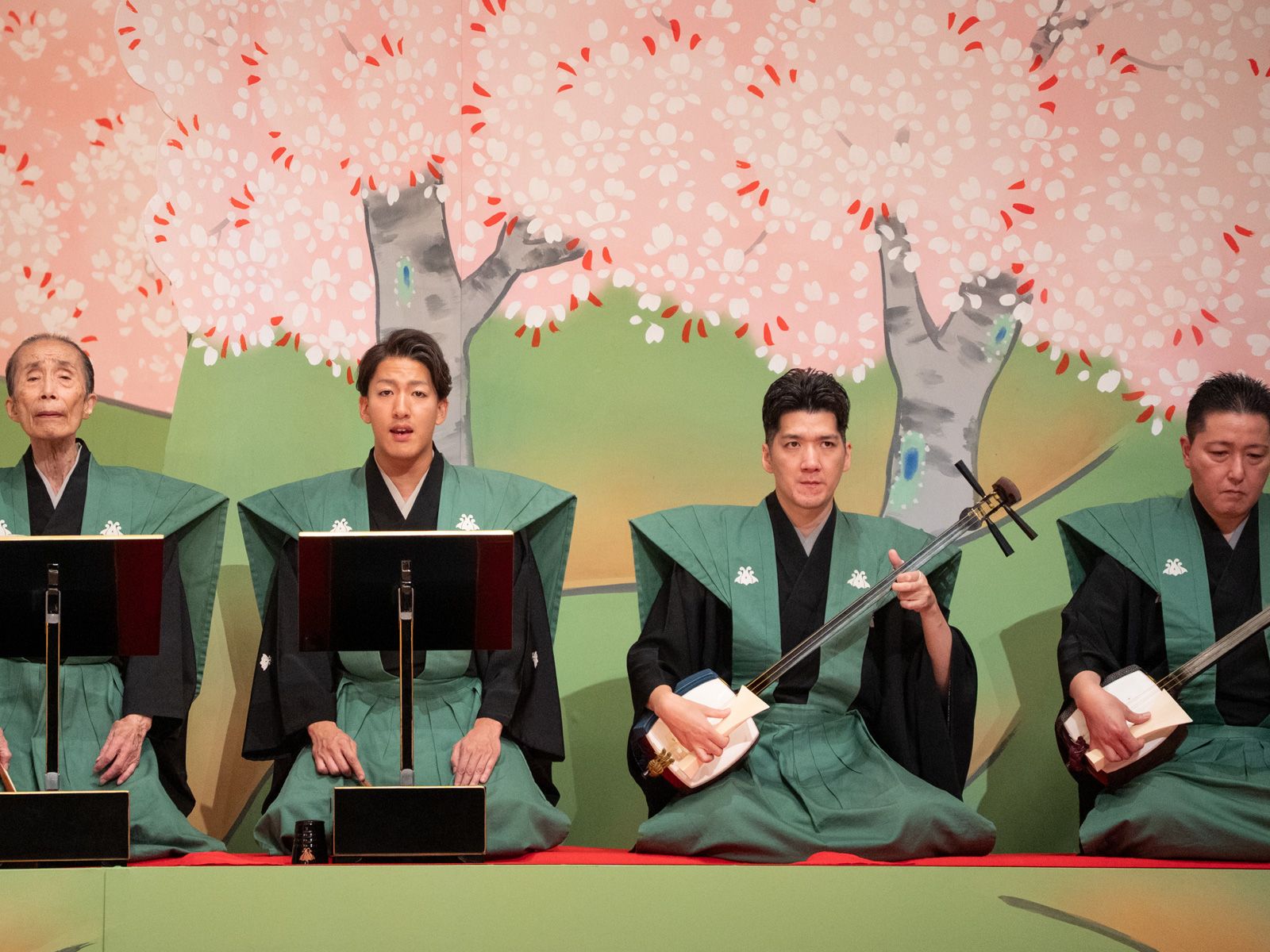 大衆演劇　日本舞踊　三味線本体 白/緑 大衆演劇 日本舞踊 三味線本体 白/緑 - メルカリ