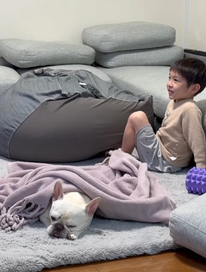 何事もなかったかのようにテレビを見る姿がイケメン…！（提供：＠burufamiさん）
