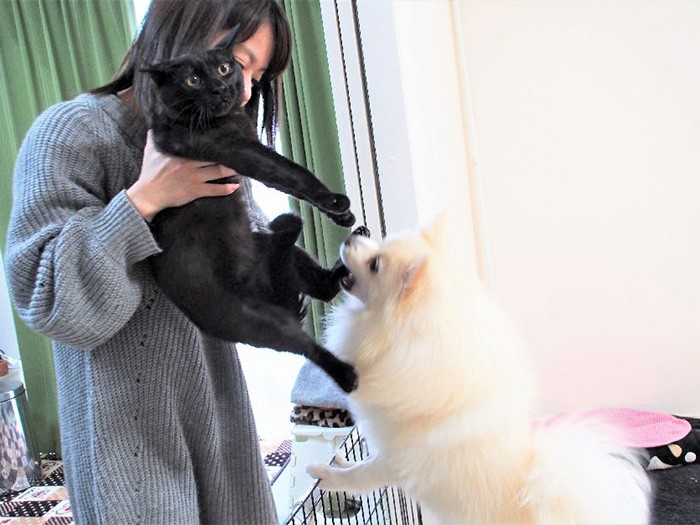 足をパクリ！も愛情表現