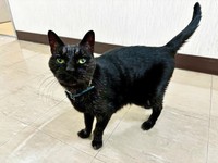 御年23歳　人間なら108歳の「ぴっぴ」（画像：三協精器工業）