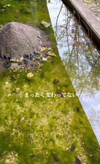 13日後、目にした光景はまさかの「変化なし」／投稿主さん提供