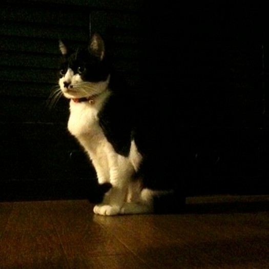 「退屈をあげる」のモデルにもなりました　（提供写真）