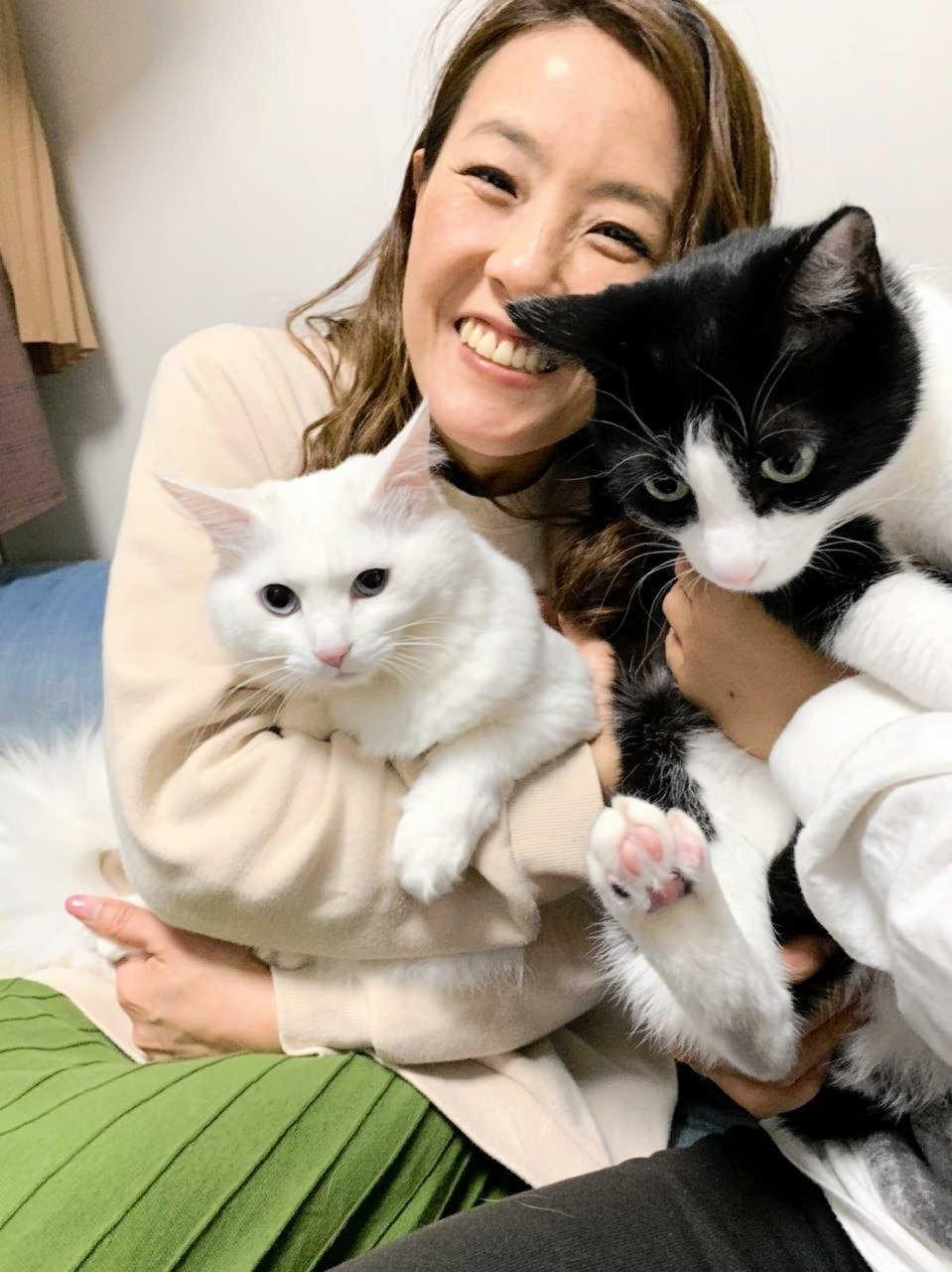 保護したノミだらけの子猫は真っ白な美人猫に やんちゃな弟猫と元気