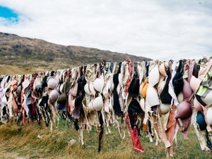 大きな胸で、嫌な思いをした私から一言。「巨乳至上主義はやめて！」