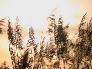 勉強中に身体を壊し入院。受験もあきらめ社会に戻れないと思っていた