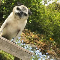 ミーアキャット！？（提供写真）