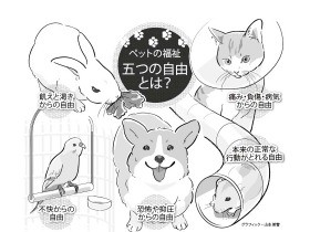 動物福祉を考える　ペットの五つの自由、知っていますか？　　 