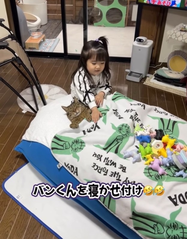 保護猫のバンくんを寝かしつけるお孫さん（midoriさん提供、Instagramよりキャプチャ撮影）