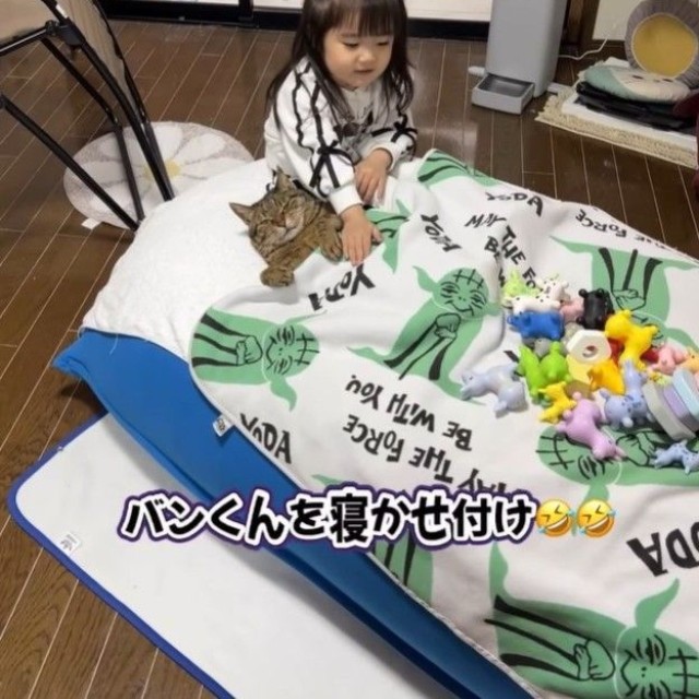 保護猫のバンくんを寝かしつけるお孫さん（midoriさん提供、Instagramよりキャプチャ撮影）