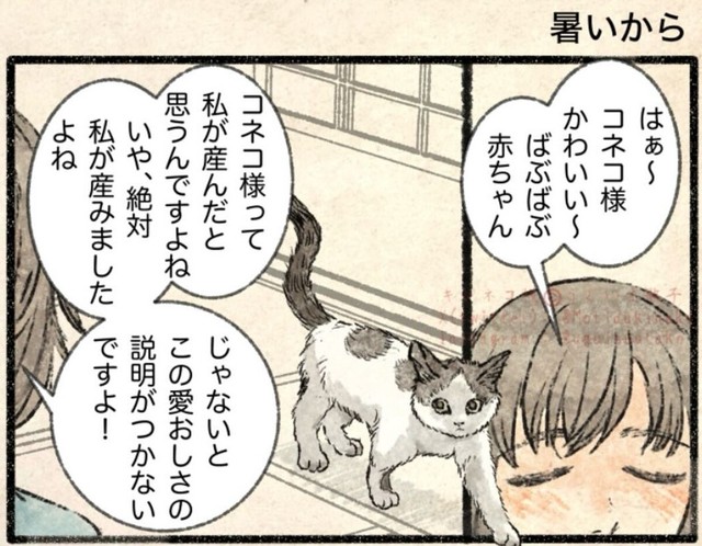 子ねこに話しかけると赤ちゃん言葉になっちゃう（うぐいす歌子さん提供）