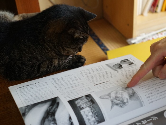 タマが載った雑誌（猫ChatVert2001年）をみるニャン