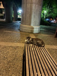 邪魔をしないよう反対側に座った（亀尾さん提供）
