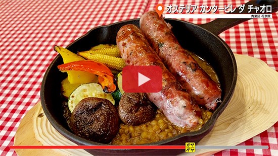 #823ｵｽﾃﾘｱ ｶﾝﾀｰﾋﾞﾚ ﾀ ﾞﾁｬｵﾛ