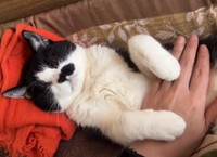 目を開けていられないニャ…（画像提供：田中よーちんさん ※動画よりキャプチャ）