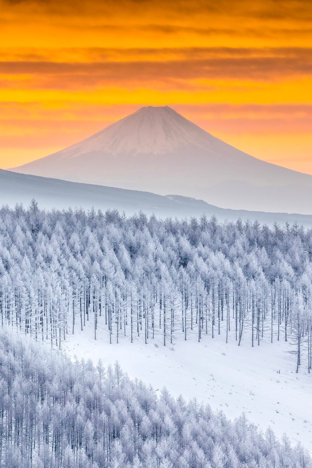 あたり一面雪景色に覆われた冬の霧ヶ峰高原（提供：AyuMiさん）