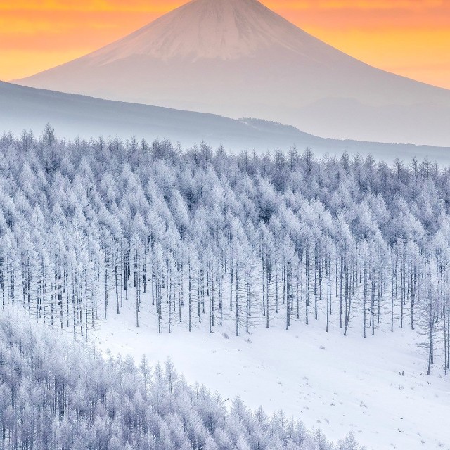 あたり一面雪景色に覆われた冬の霧ヶ峰高原（提供：AyuMiさん）