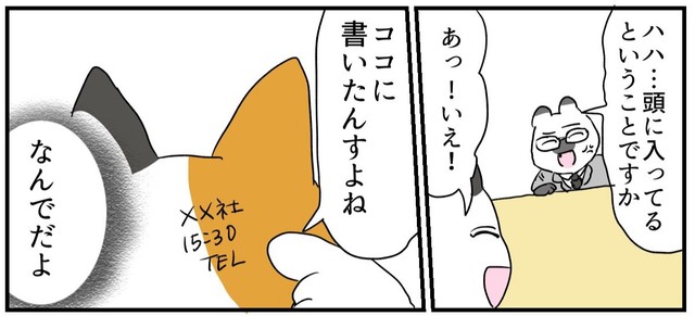 頭部にメモしていたネコ（ろふさんの提供）