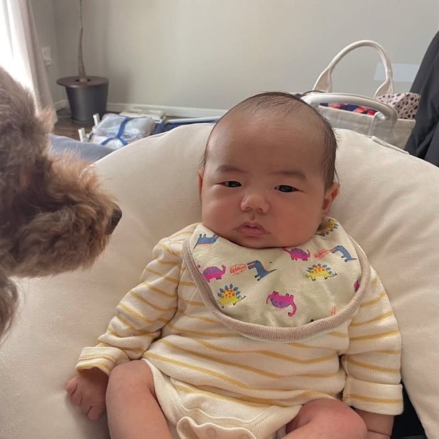 少しずつ距離を縮めていくシニア犬のりんたろう君とぜん君（提供：@___zenworldさん）
