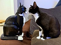 向かい合う（左から）レゴ猫に“鼻チュー”するミシェルちゃん（画像提供：ModCraneさん）