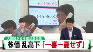 株価が乱高下「一喜一憂しないことが肝心」専門家