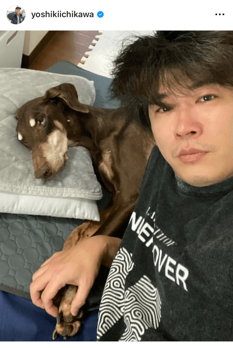 市川欣希 (@yoshikiichikawa)さんのインスタグラムより