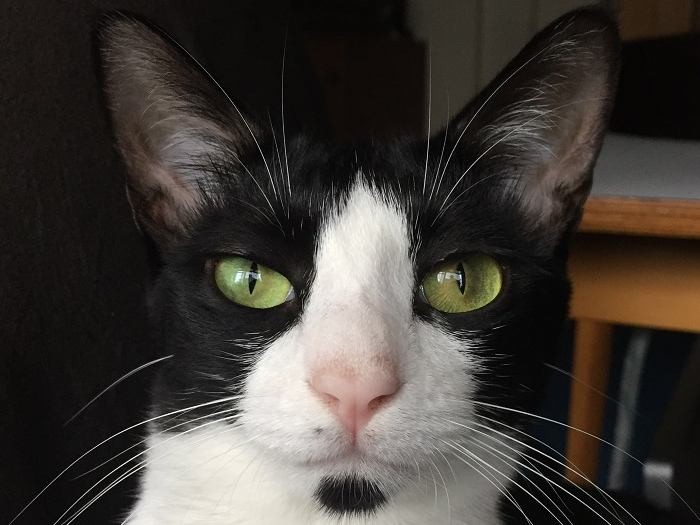 ひと目見たら忘れられない美人顔