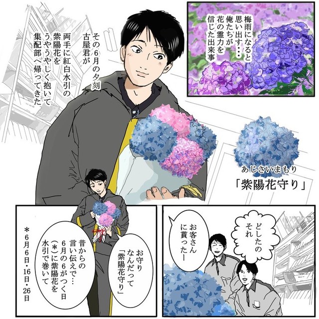 お客さんにもらった紫陽花守り（送達ねこさん提供）