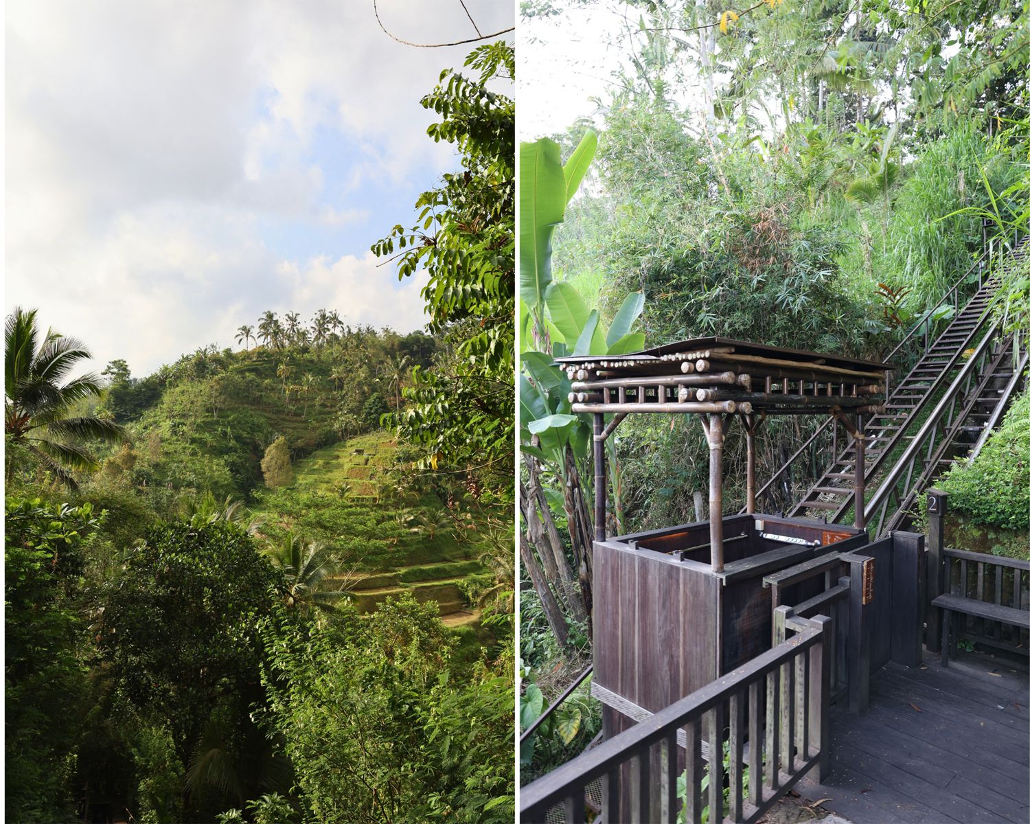 1500_バリ_バンヤンツリー03