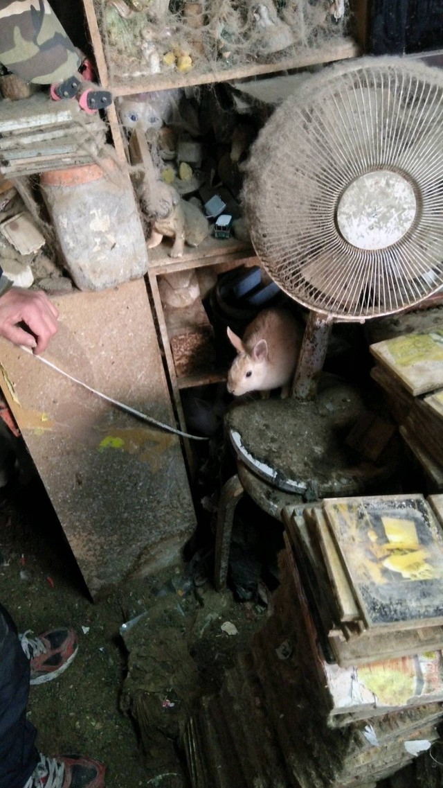 高齢男性は行政機関にも相談に行ったが、何もしてくれなかったと嘆いていたという（もよままさん提供）