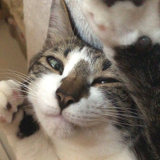 森下さんがバタバタと朝の支度をするのを寝転んだたまま見守る