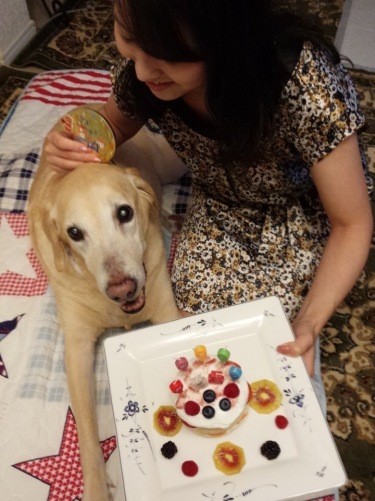 糖尿病のレイ之助くんでも食べられるように工夫された、お嬢さん手作りの誕生日ケーキ、15歳のバースデー