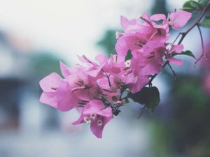 いつも２人でいた、でも「恋人」になるには何か足りなかった