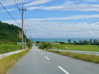 留学に心が動かなかった学生時代。日本で暮らす心地よさを選び続ける