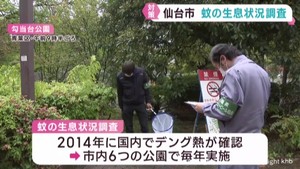 蚊の生息状況調査　仙台市の感染症対策