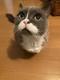 巧みな上目遣いに、家族は胸キュン