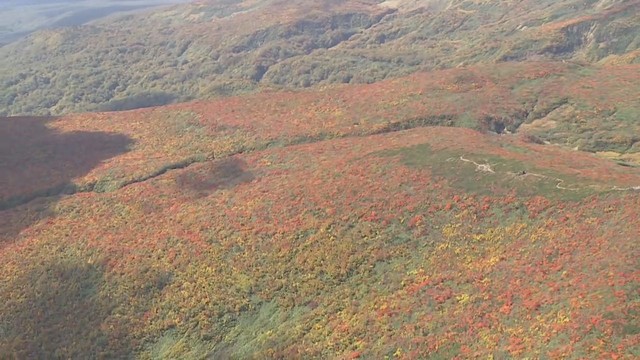 神のじゅうたん　宮城・栗駒山の紅葉が見頃