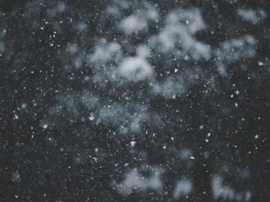 雪が降ったら嵐山へ。たまにはずる休みできる余裕を育てたい