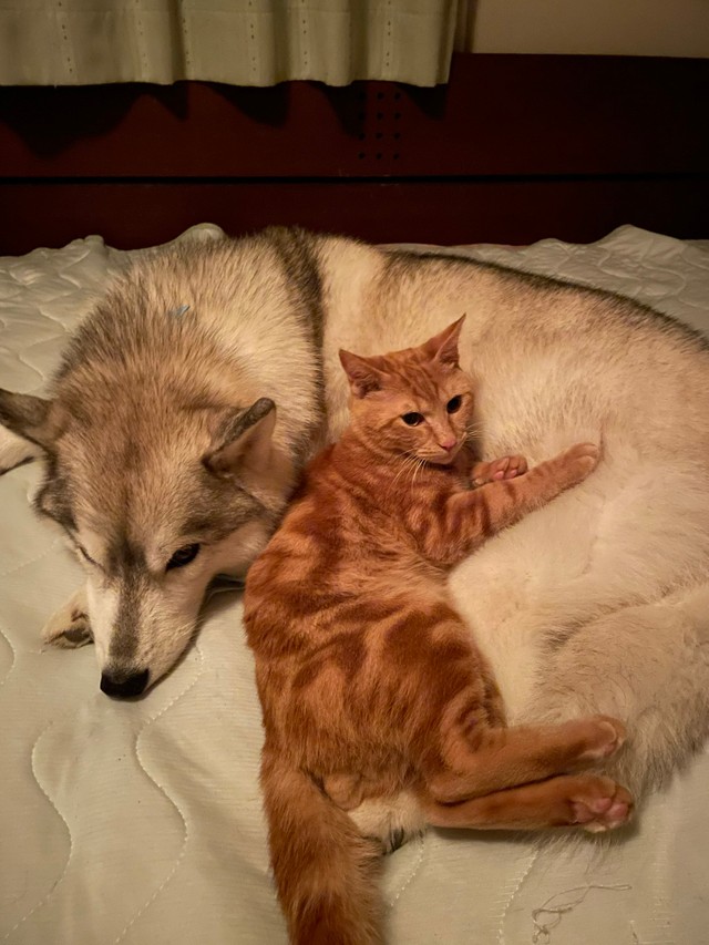 こちらも仲良しさん