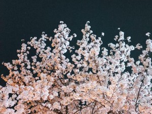 2人で歩いた道、交わした会話…。少し近づけた彼は、まもなく再婚する