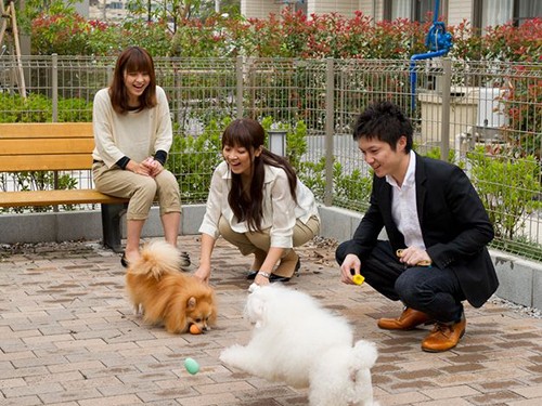 人気の「ペット共生型」賃貸、便利な設備と驚きのサービスとは？