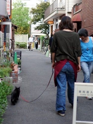 「あらジジちゃん」と通りすがりに声をかけられて