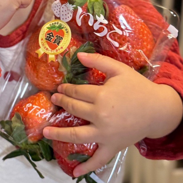今まで生きてきた中で一番おいしかったというイチゴ／浦野一美さん（@urano_cindy1023）提供