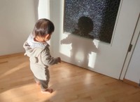 じっと覗き込む…不思議だねえ（@sukegongon0401さん提供）