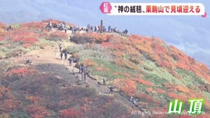 神のじゅうたんと称される紅葉　宮城・栗駒山の山頂付近で見頃