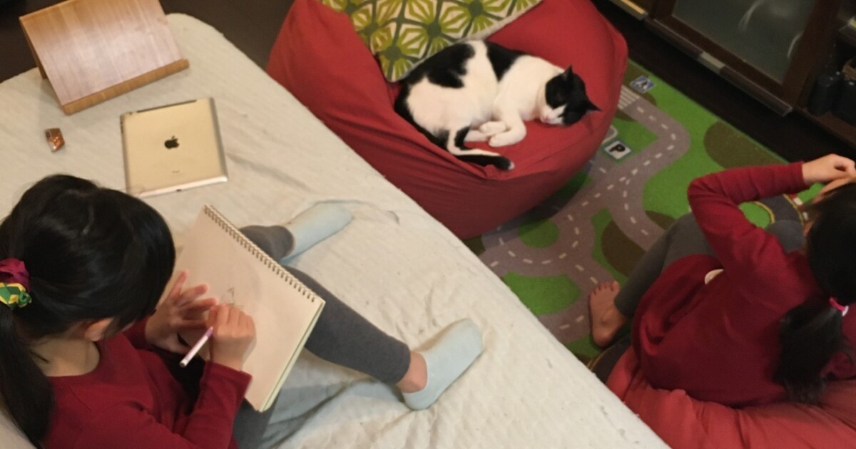 いまは子育てで猫との時間が作れなくても　いつか「みんなで家族だんらん」の時が来る | 犬・猫との幸せな暮らしのためのペット情報サイト「sippo」 - Vimarsana News