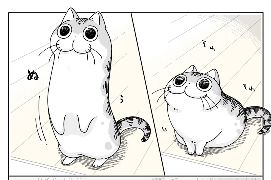 ねこぐち　漫画セット ふらいんぐうぃっち コミック 1-13巻セット (講談社) | 石塚千尋
