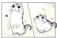 テーブルの上を確認中のキュルガちゃん（提供：キュルZさん）