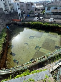 東京のど真ん中に突如として池が…（KazMiyamoさん提供）