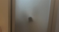 お風呂に入っていてもガラスに張り付いて見張ってくれるぼんじりちゃん（提供：柑橘めたる🍊🐹🐱🐶さん）