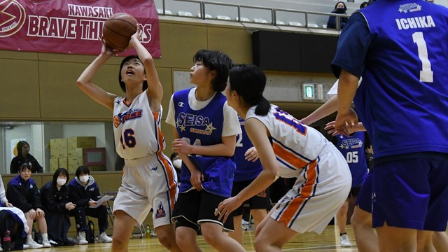 星槎湘南―立川ダイス